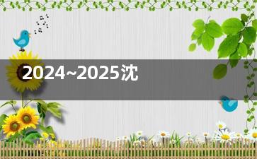 2024~2025沈阳爱尔眼科医院价格表一览：全飞秒15800+|白内障5200+|斜视矫正6500+